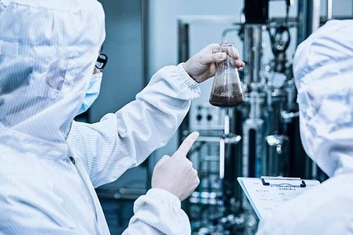 大醫德美 益生態中藥引領藥食同源新風尚的信息技術咨詢服務